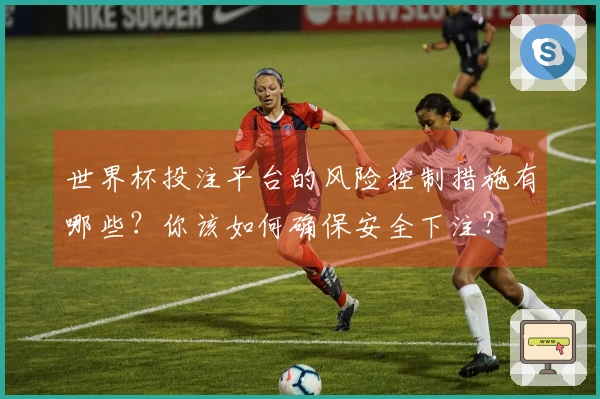 世界杯投注平台的风险控制措施有哪些？你该如何确保安全下注？