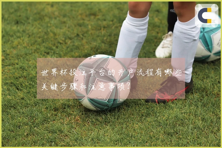 世界杯投注平台的开户流程有哪些关键步骤和注意事项？