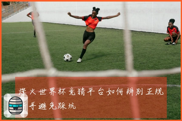 烽火世界杯竞猜平台如何辨别正规新手避免踩坑