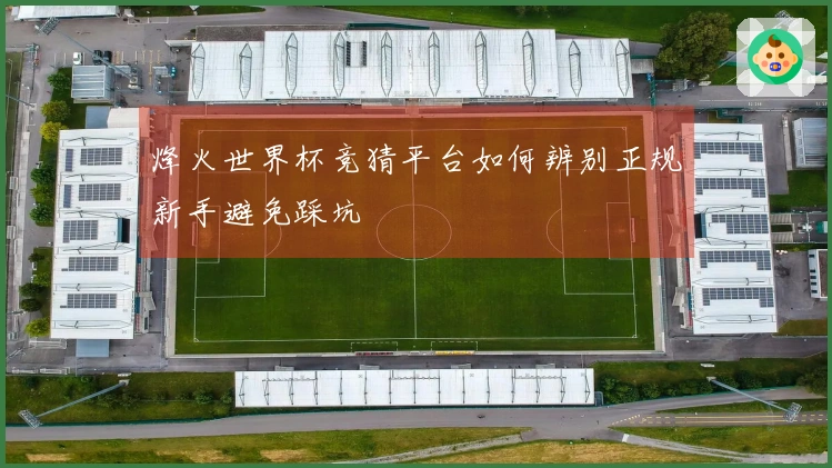 烽火世界杯竞猜平台如何辨别正规新手避免踩坑