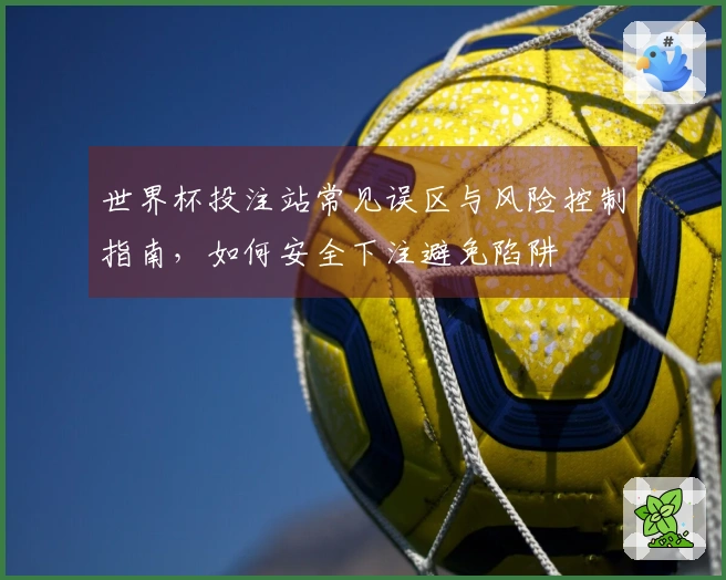 世界杯投注站常见误区与风险控制指南，如何安全下注避免陷阱
