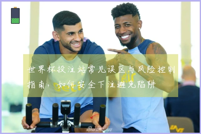 世界杯投注站常见误区与风险控制指南，如何安全下注避免陷阱